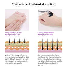 Load image into Gallery viewer, Derma Roller Skin Care & Body Treatment